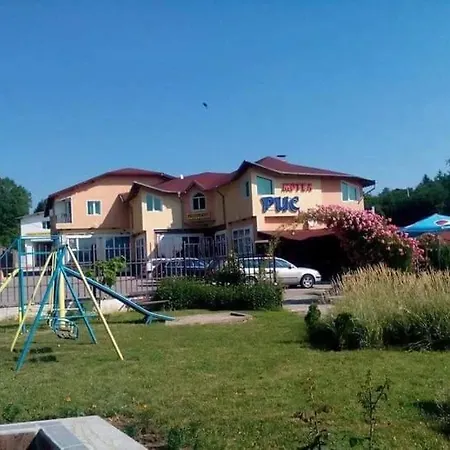 рис